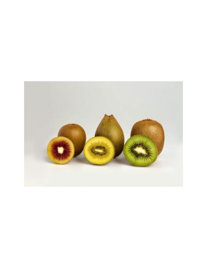 10 Alberi di Kiwi a Polpa Gialla Vaso 16cm - immagine 2