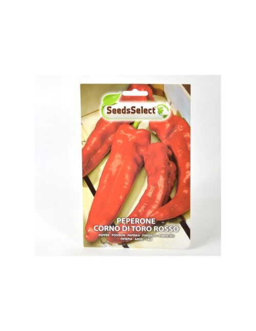 semi peperoncino corno di toro