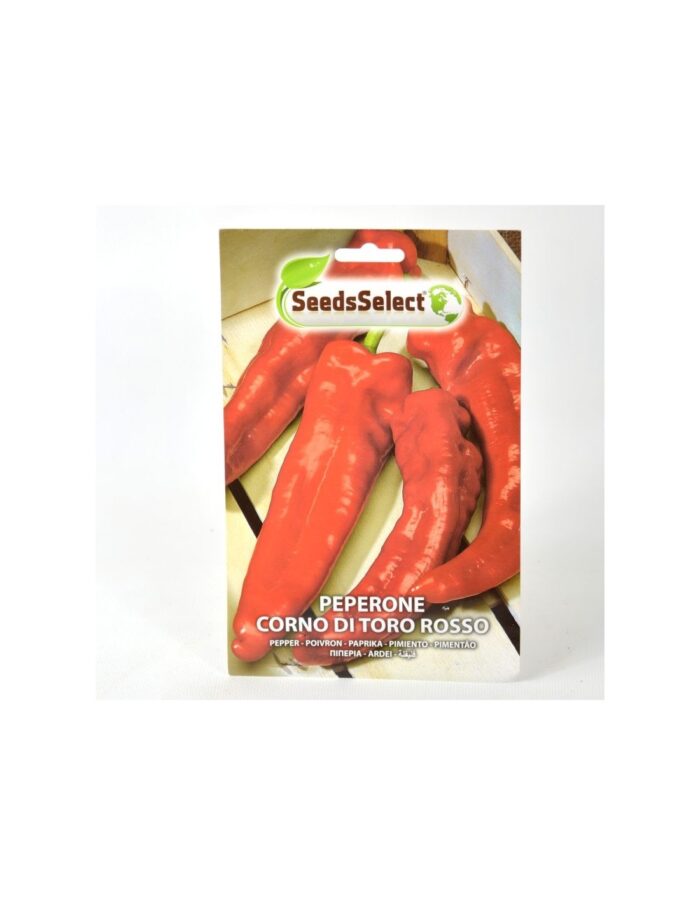 semi peperoncino corno di toro