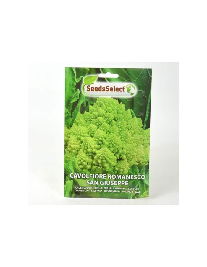 20 Buste di Semi di Cavolo Broccolo Romanesco