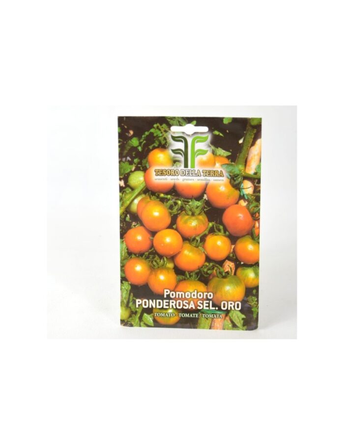 20 Buste di Semi di Pomodoro Ponderosa