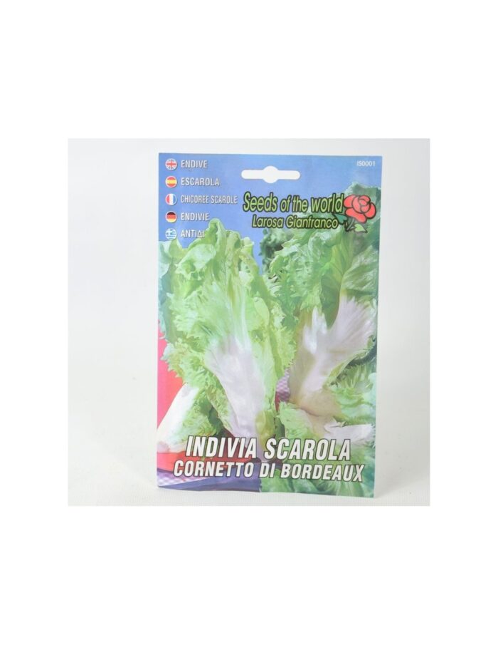 20 Buste di Semi di Scarola Barese